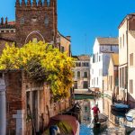 lowmimosa a san barnaba