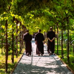 giardino mistico frati carmelitani scalzi